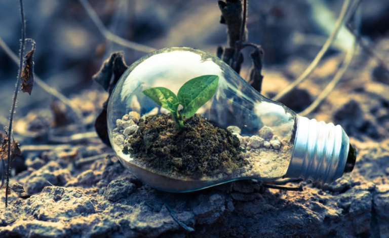 The Environmental Impact of the Tech Industry