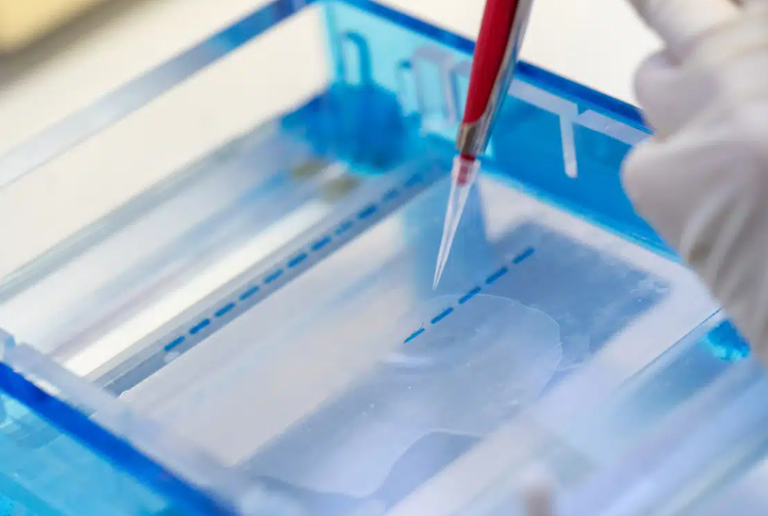 Streamlining Research with Assay-Ready Cells and Bulk Cell Pellets