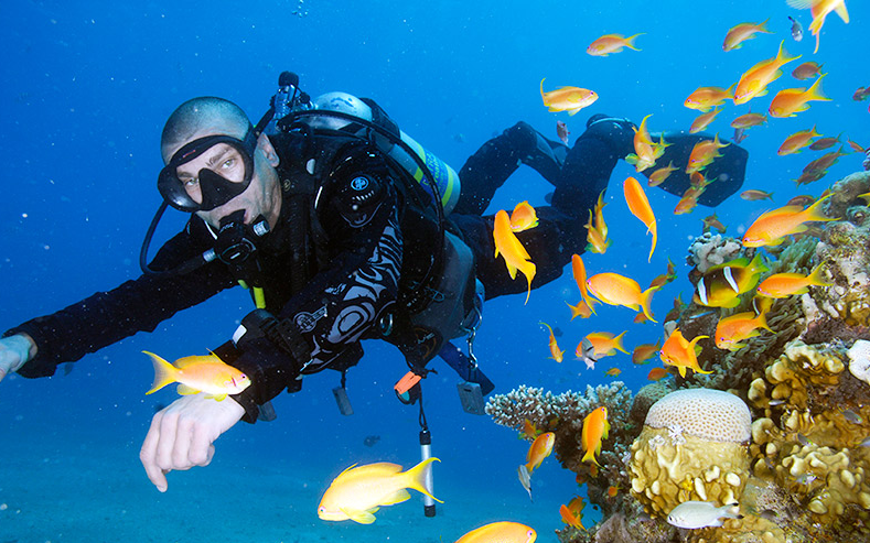 What Is a Wetsuit and How Does It Work?