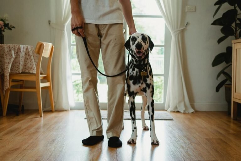 independent caller analysis alerts