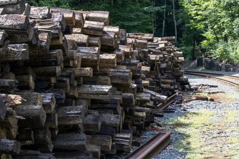 network tracking overview linked to 3478435466863762 and feedback logs