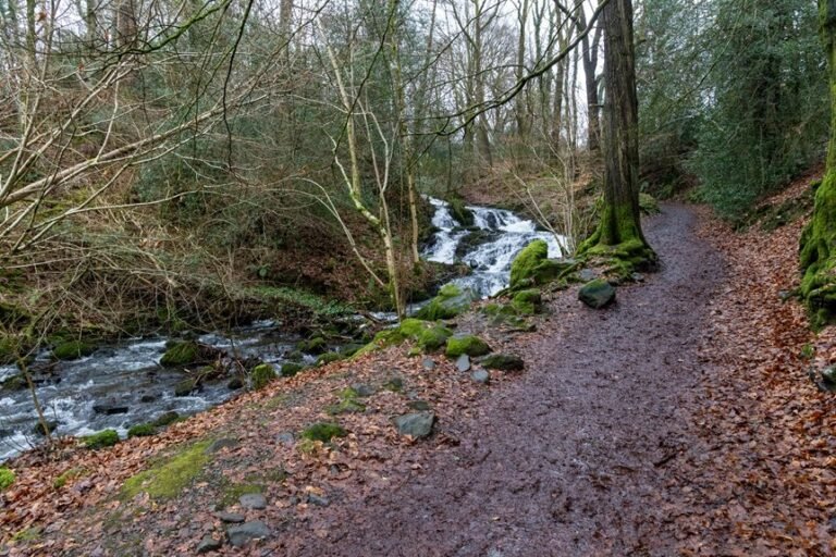 vector flow market path 910555380